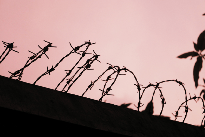 Image of barbed wire